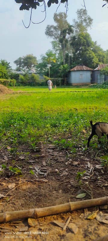 মোঃ নাছির উদ্দিন - Image 1