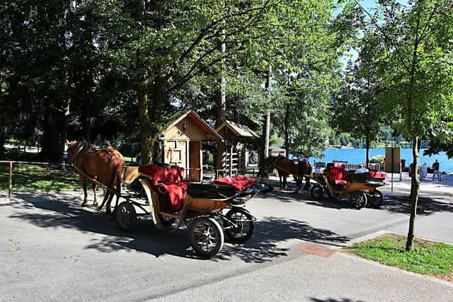 blejski Fijakerji - Image 3