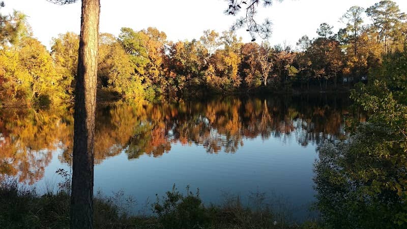 Rhodes Pond - Image 1