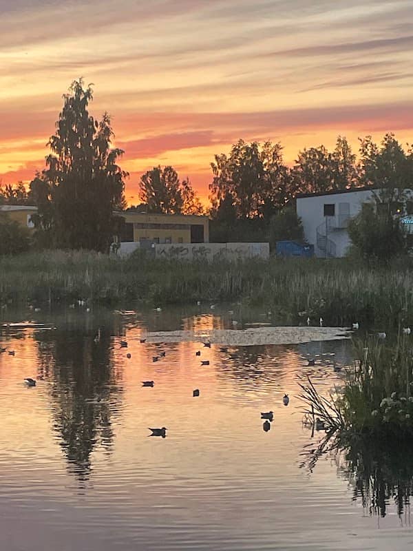 Mjölkuddtjärnen - Image 2