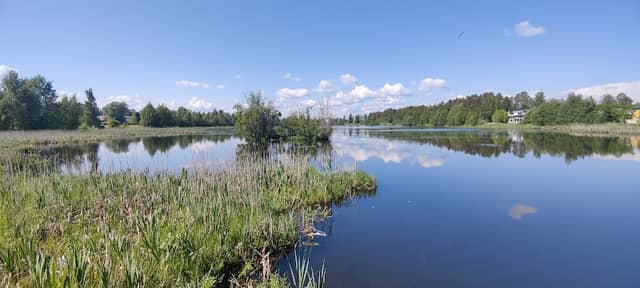 Mjölkuddtjärnen - Image 1