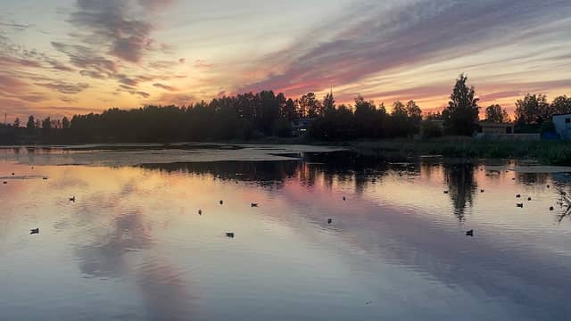 Mjölkuddtjärnen - Image 3