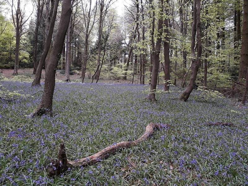 Llwyn Hir - Image 2