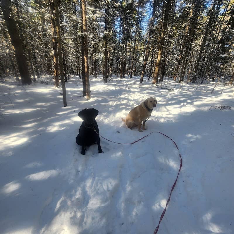Spruce Trail - Image 2
