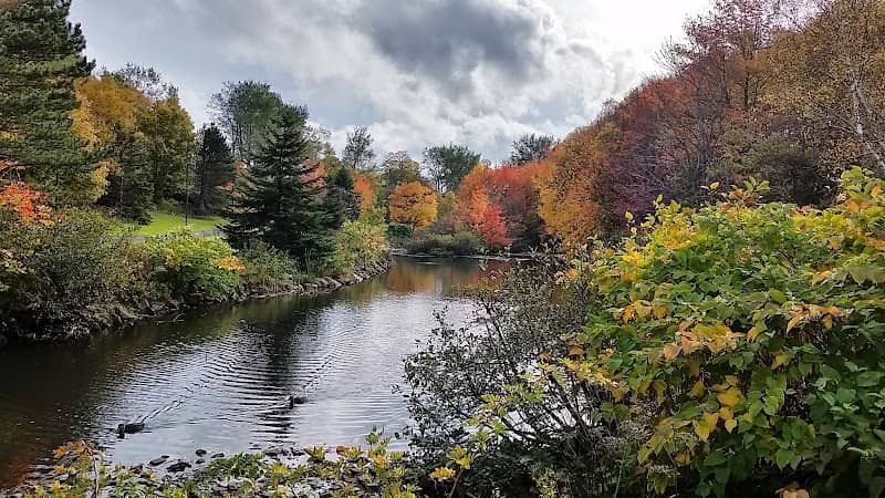 Renwick Park Walking Trail - Image 1