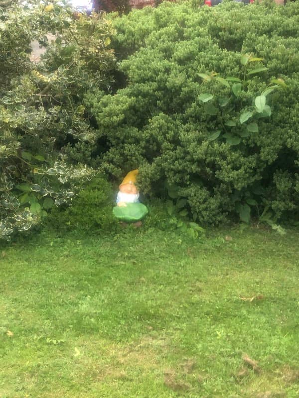 Glenview Court Park & Gardens - Image 2