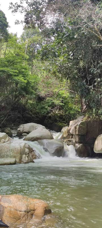 Estadero el taurete - Image 1