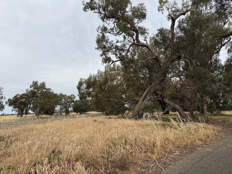 North of the Murray Trail - Image 1