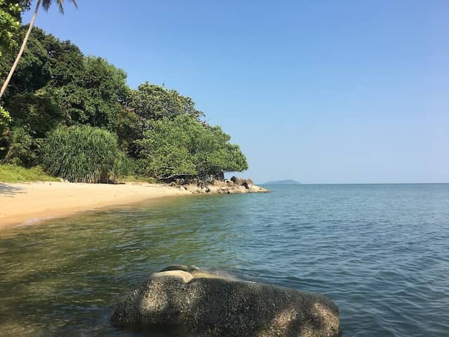 Nice beach view - Image 1