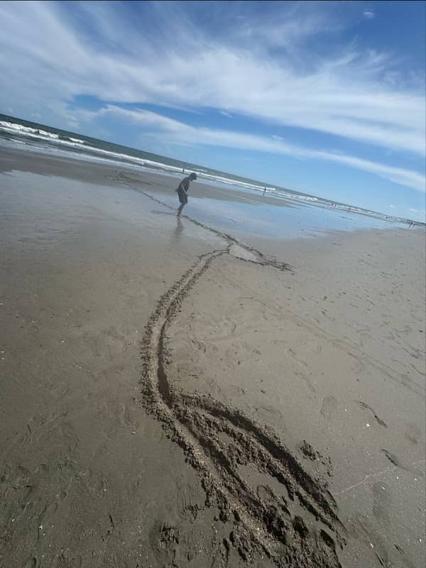 Isle of Palms Beach Access 13 - Image 1