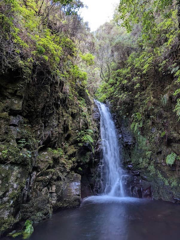 Levada da Rocha Vermelha - Image 1