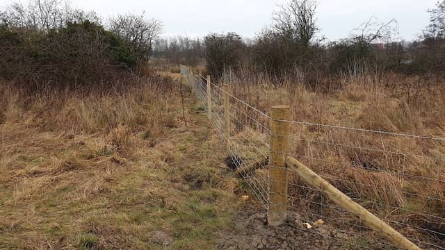 Barmston Nature Reserve - Image 2