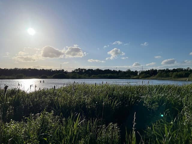 Barmston Nature Reserve - Image 1