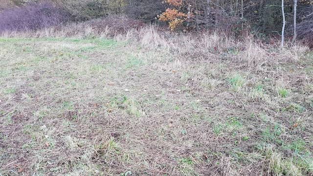 Barmston Nature Reserve - Image 3