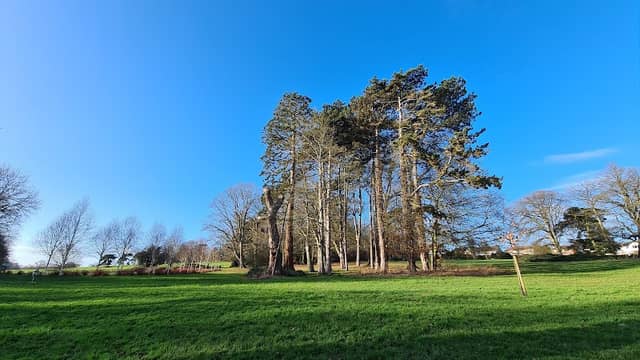 Barclay Park - Image 1