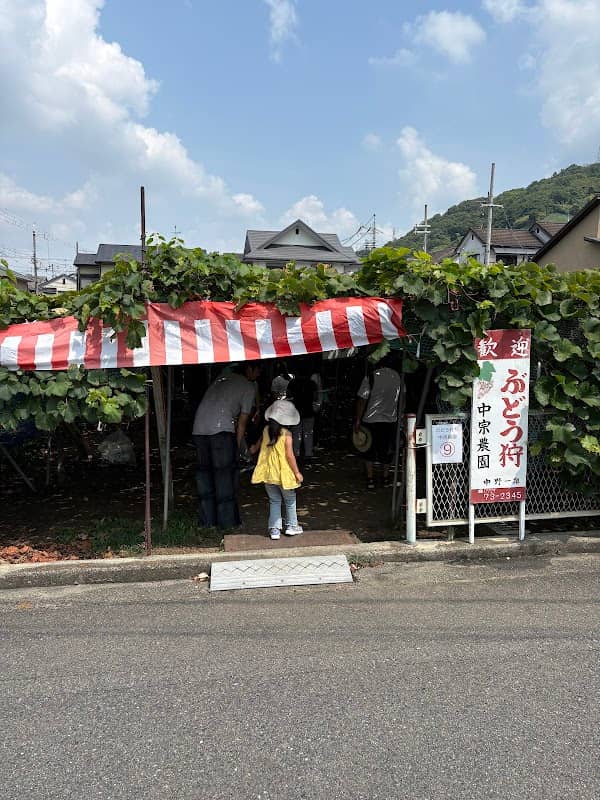 中野(中宗)農園 - Image 2
