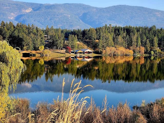 Otter Lake Park - Image 1