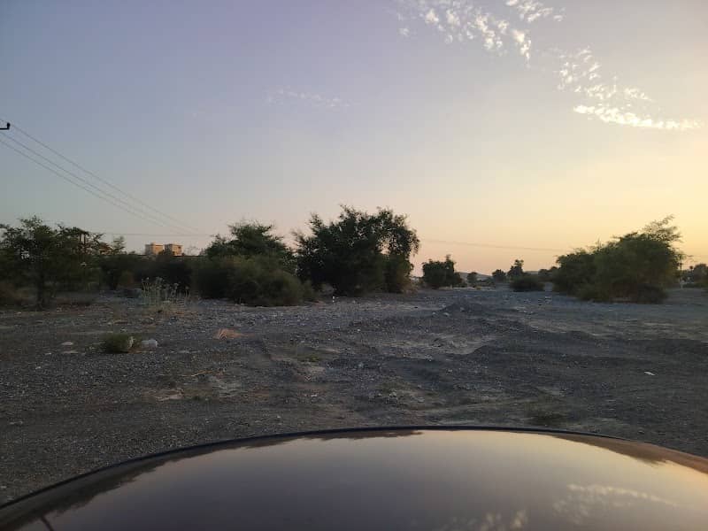 أشجار الوادي ابراء - Image 1