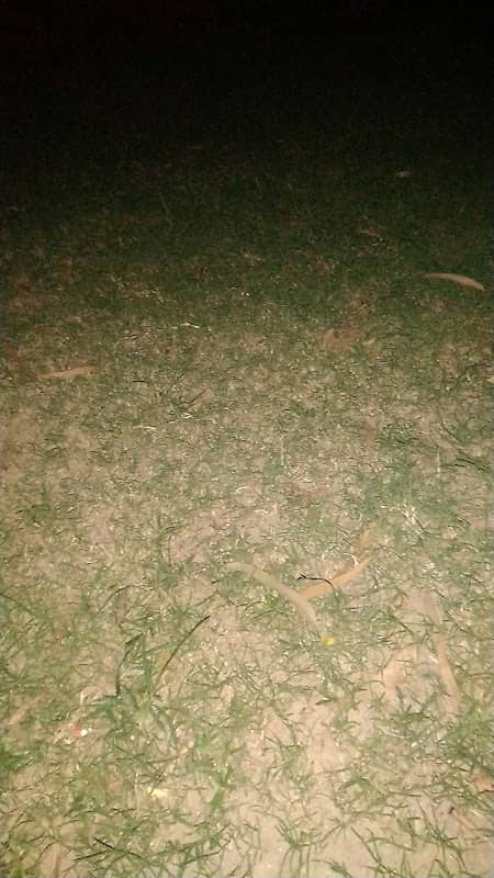 SHIVAJI PARK - Image 1