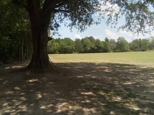 Da Lake - Image 1