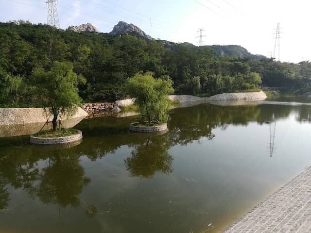 浮山森林公园 - Image 2