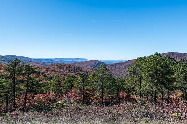 Sawmill Run Overlook - Image 2