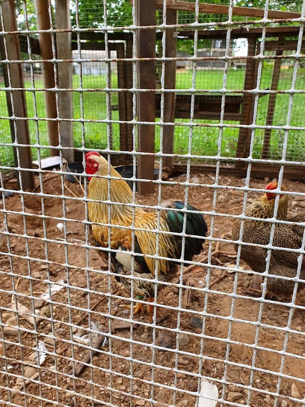 Minizoo Zemīši - Image 1