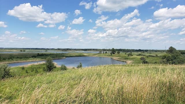 Goose Lake Prairie State Natural Area - Image 1