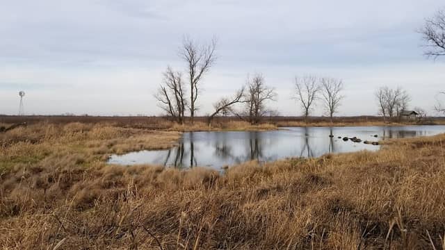 Goose Lake Prairie State Natural Area - Image 2
