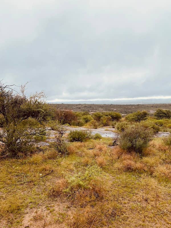 Paseo de la Igüanita - Image 1
