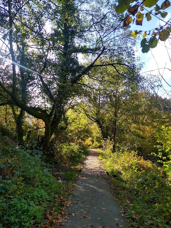 Feeder Row Park - Image 1