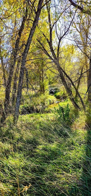 McCloskey Natural Area - Image 1