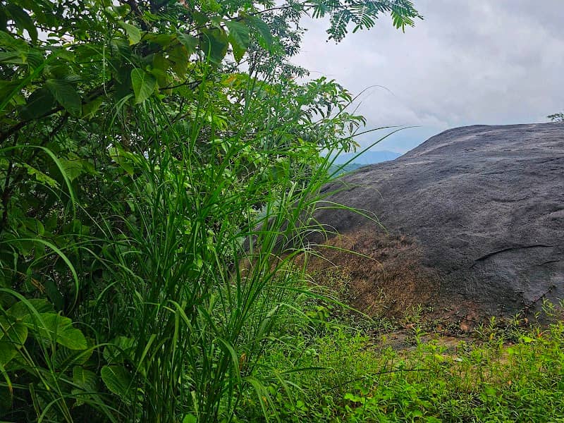 Anappara view point - Image 1