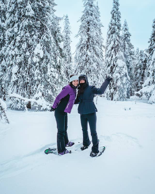 StayLapland - Husky, Reindeer, Snowmobile, and Northern Lights Tours - Image 3
