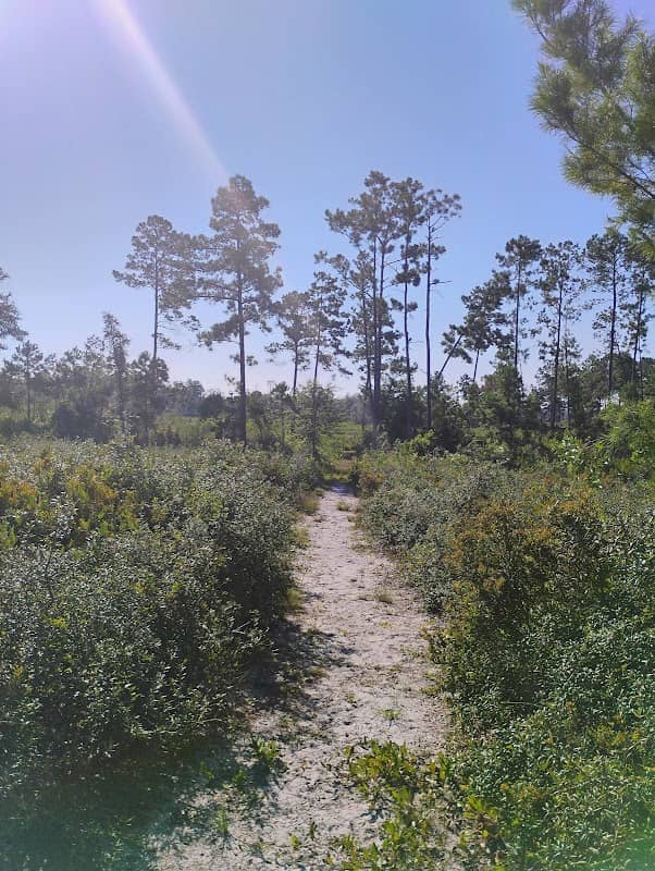 Grassy Pond Recreation Area - Image 2