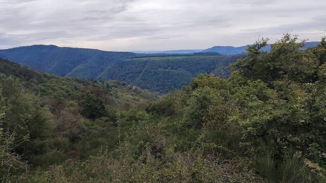 Aussichtspunkt Ediger - Image 1