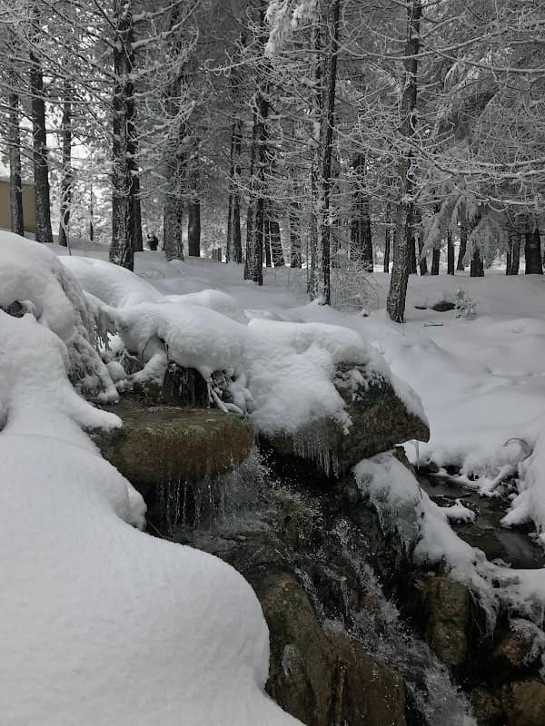 Monte Limbara - Image 1