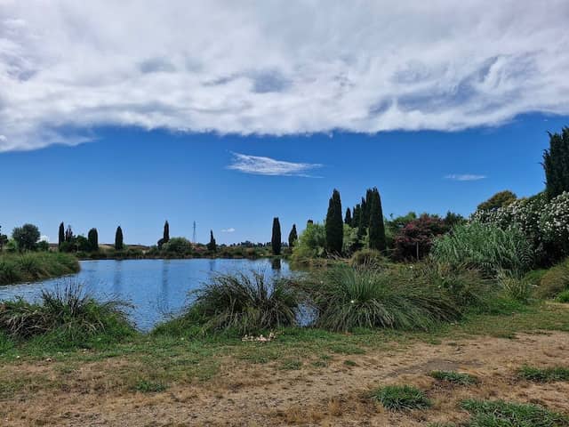 Lago di tufaia - Image 1