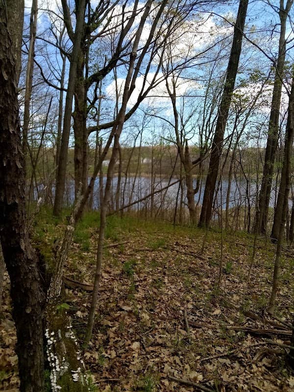 Wildlife Drive Neighborhood Park - Image 2