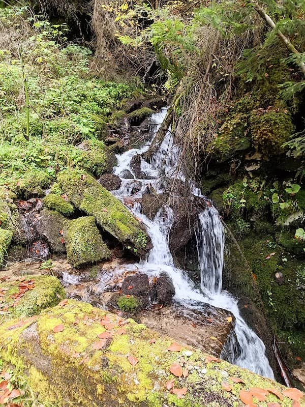 Cascada Căpriorului - Image 2