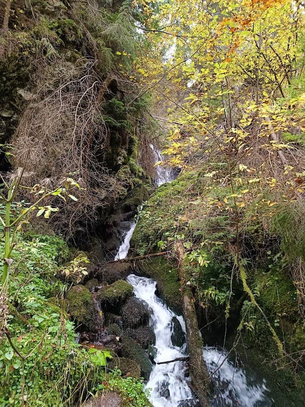 Cascada Căpriorului - Image 3