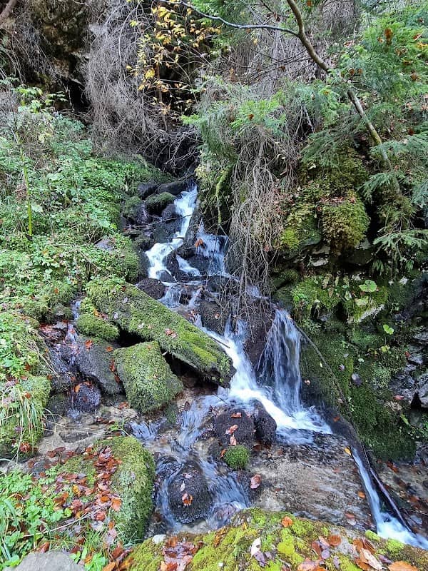 Cascada Căpriorului - Image 1