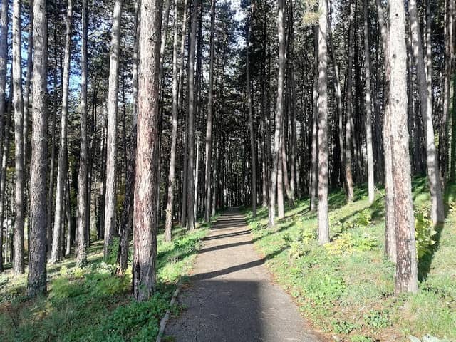 Dovarje Park - Image 1