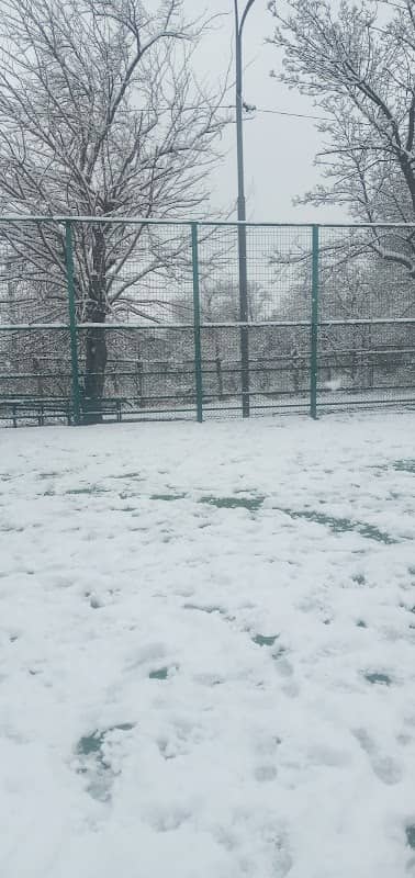 Stadium - Image 1