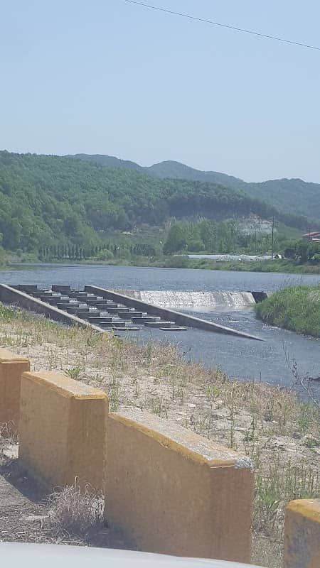 Jangpyeongbo - Image 1