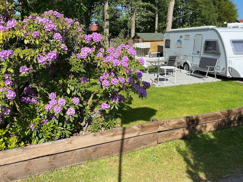 Platz 3 - Image 1
