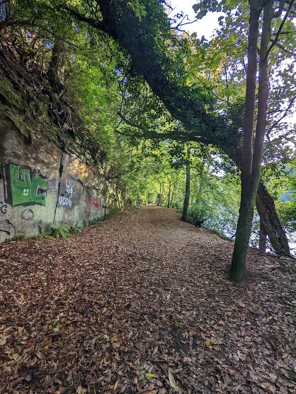 Clyde Walkway via Bothwell - Image 1