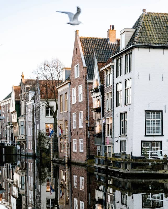 Alkmaar Interactive City Tour - Image 1