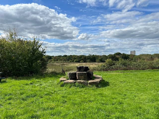Westwood Nature Reserve - Image 2