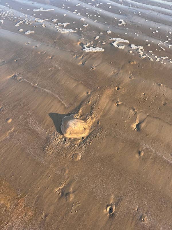 Jamaica beach spot - buceener - Image 1